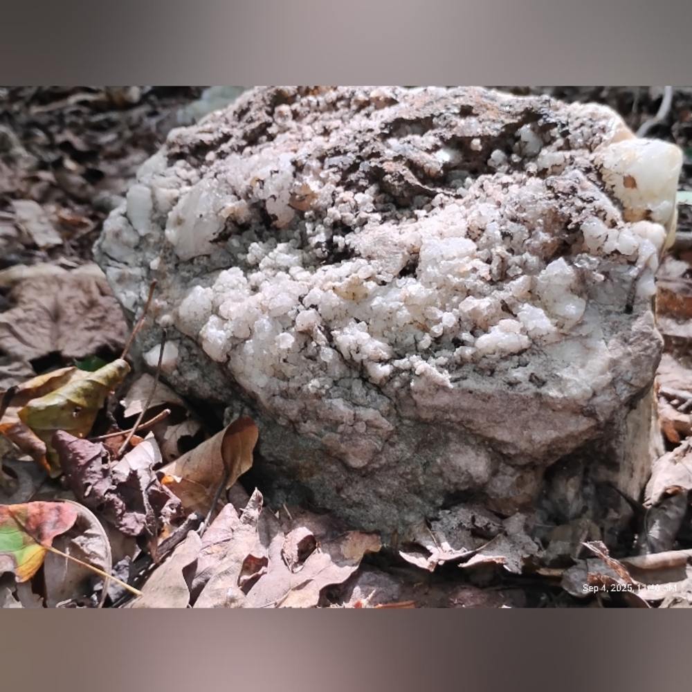 Large Naturally Unearthed Quartz, in situ - Picture 3 of 3